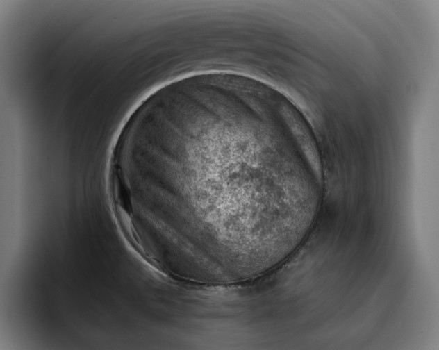 X0000093261527200710101450