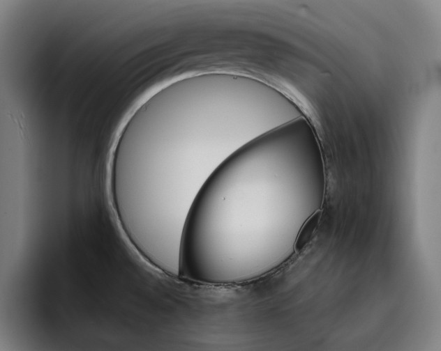 X0000093261528200710101450