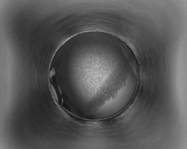 X0000093261529200710101450