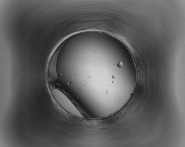 X0000093261532200710101450