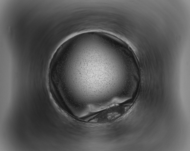 X0000093261534200710101450