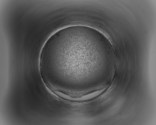 X0000093261535200710101450