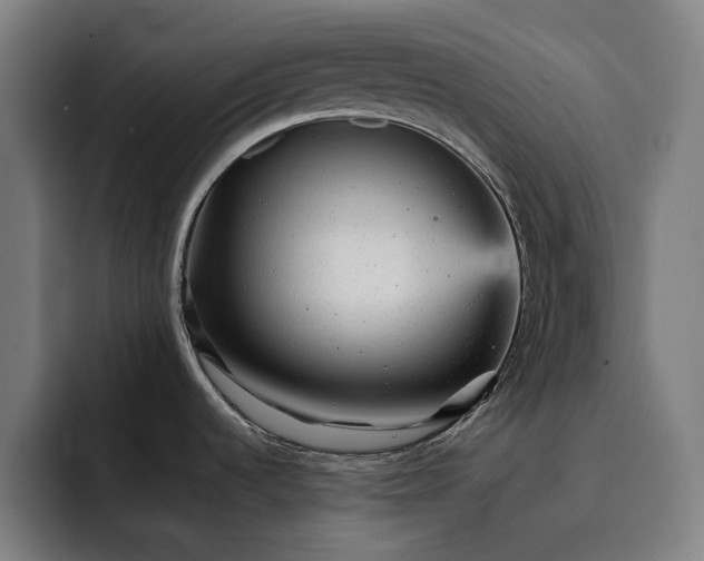 X0000093261536200710101450