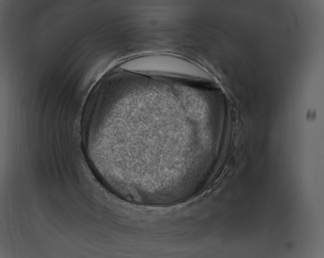 X0000093260002200710171459