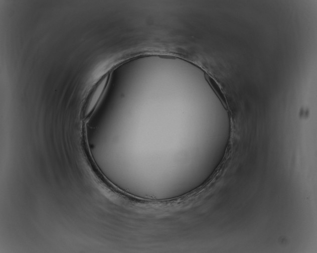 X0000093260005200710171459