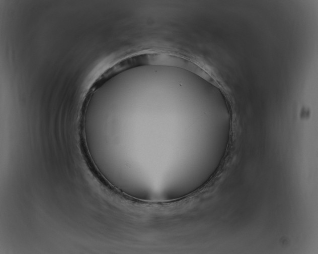 X0000093260007200710171459