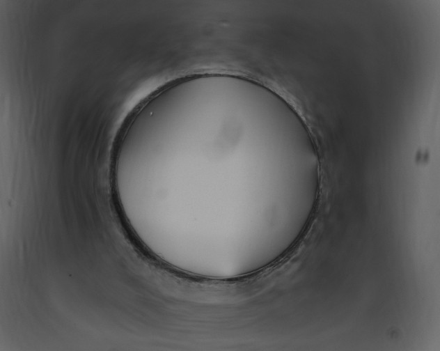 X0000093260008200710171459