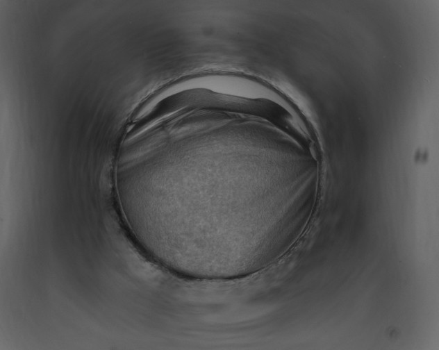 X0000093260009200710171459