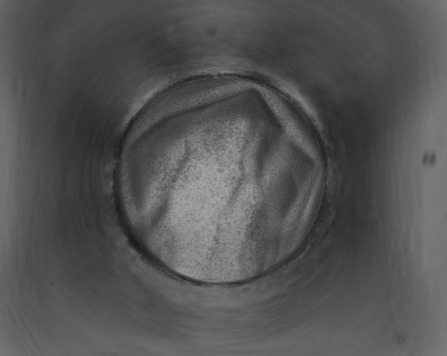 X0000093260010200710171459