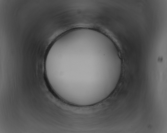 X0000093260011200710171459