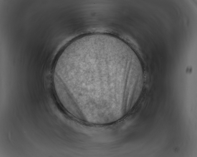 X0000093260012200710171459