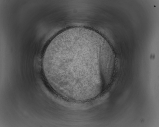 X0000093260016200710171459