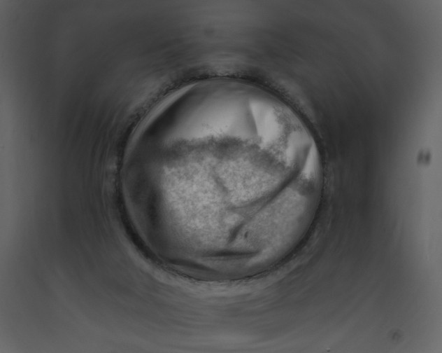 X0000093260018200710171459