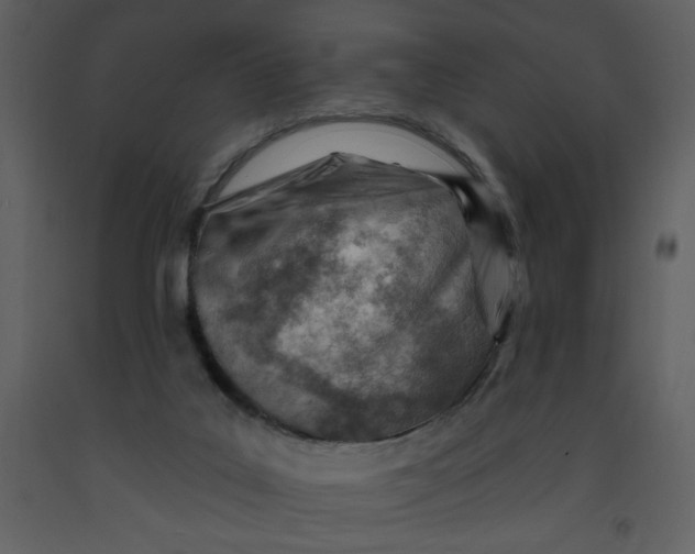 X0000093260019200710171459