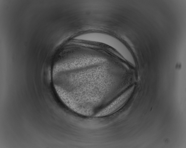 X0000093260020200710171459