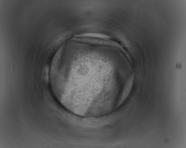 X0000093260022200710171459