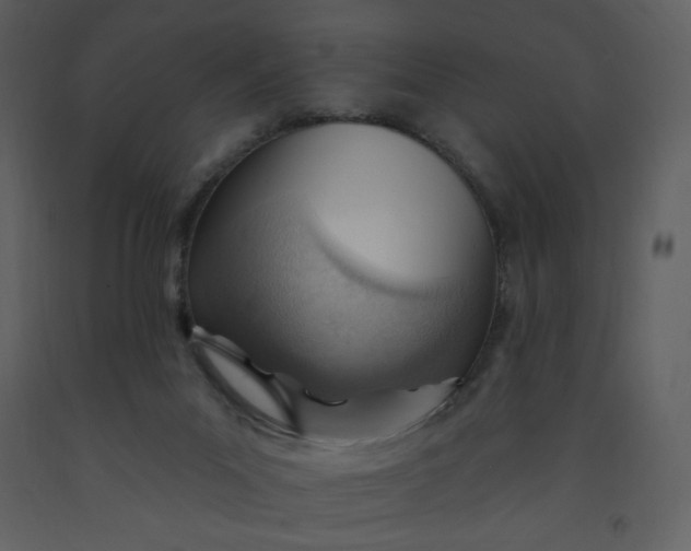 X0000093260023200710171459