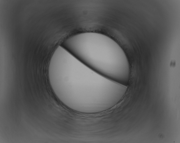 X0000093260025200710171459