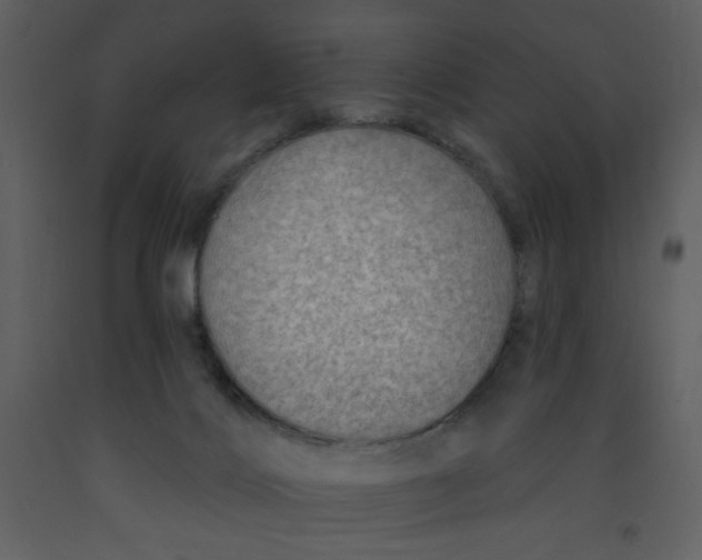 X0000093260028200710171459