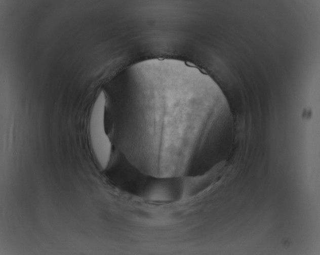 X0000093260029200710171459