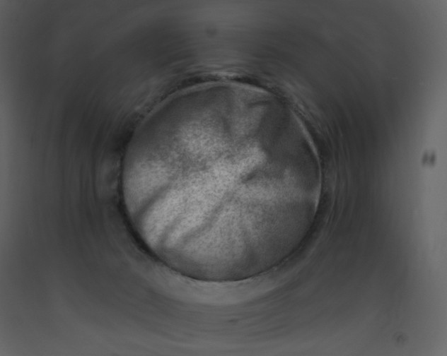 X0000093260030200710171459