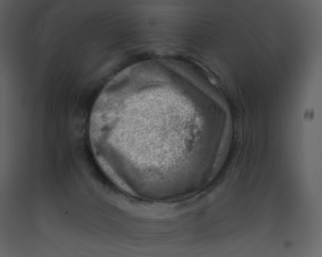 X0000093260032200710171459