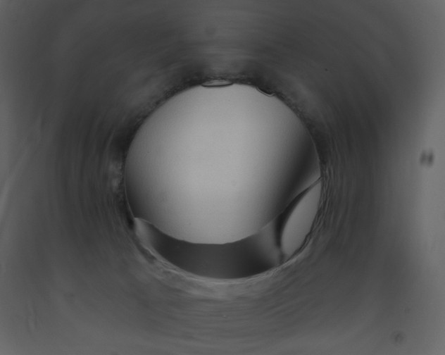 X0000093260033200710171459