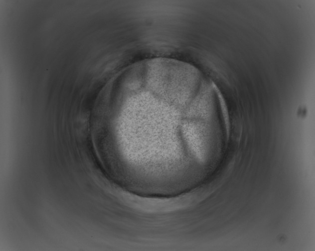 X0000093260034200710171459