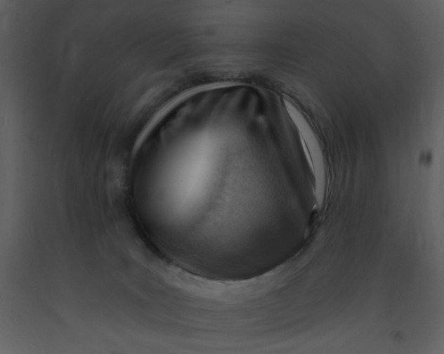 X0000093260035200710171459
