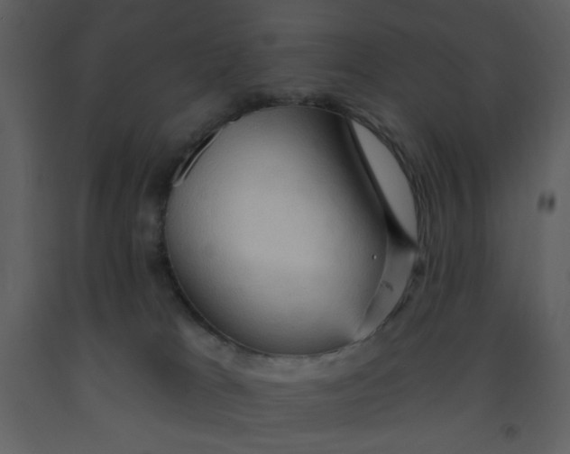 X0000093260037200710171459