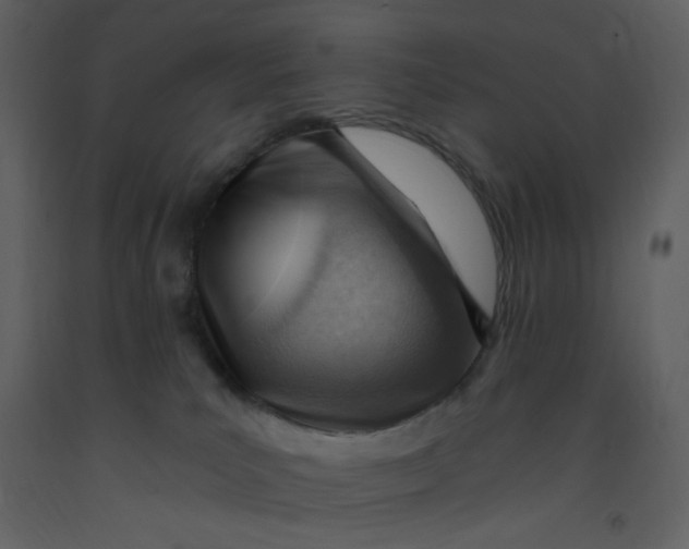 X0000093260039200710171459