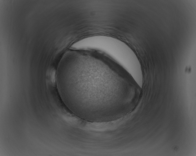 X0000093260041200710171459