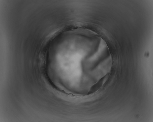 X0000093260043200710171459