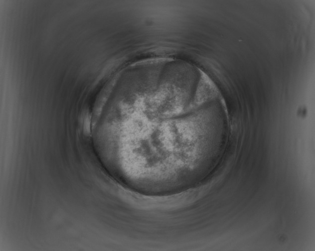 X0000093260046200710171459