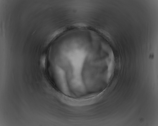 X0000093260047200710171459