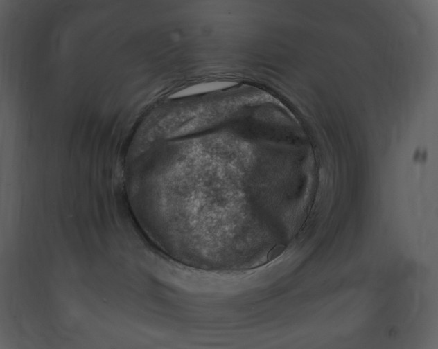 X0000093260048200710171459