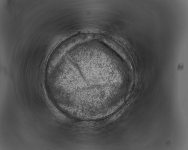 X0000093260049200710171458