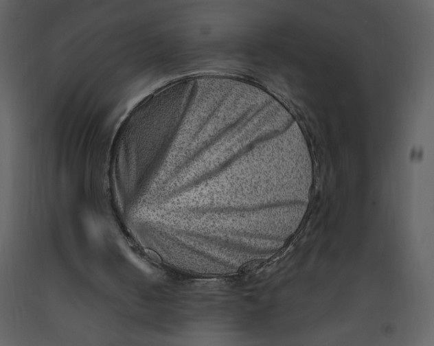 X0000093260050200710171458