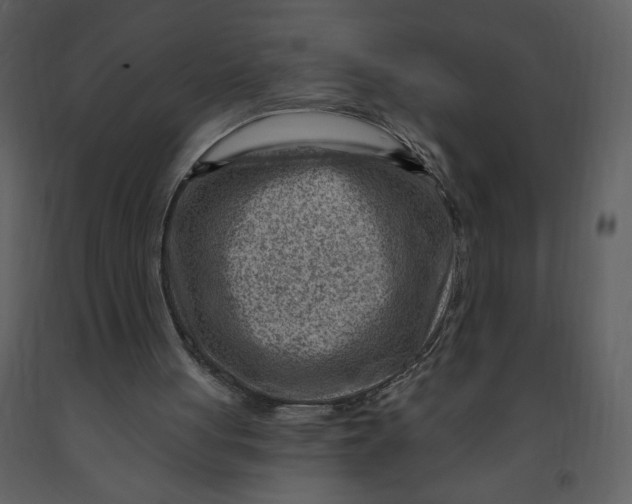 X0000093260051200710171458