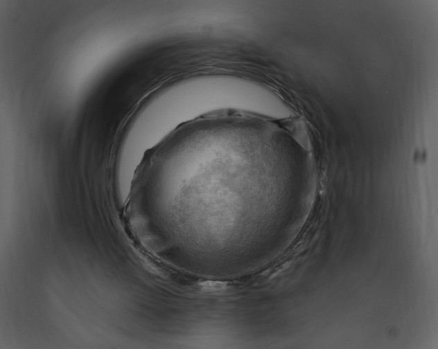 X0000093260052200710171458