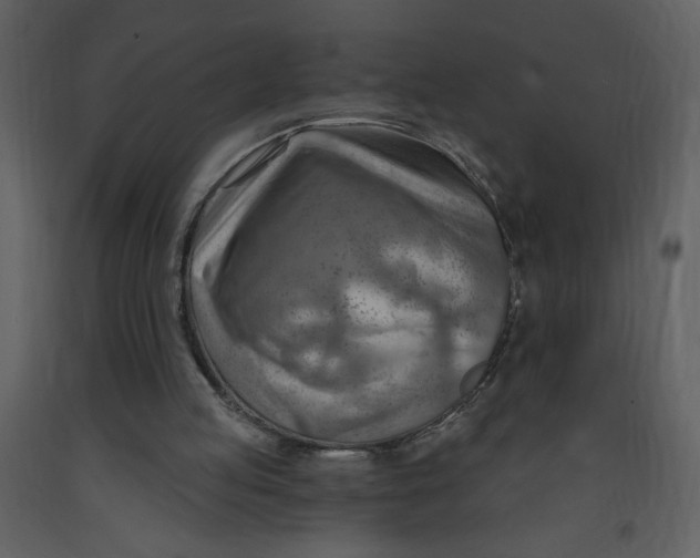 X0000093260053200710171458