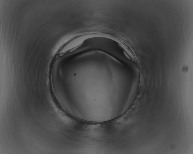 X0000093260054200710171458