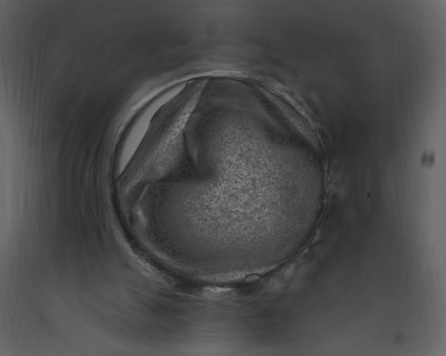 X0000093260055200710171458