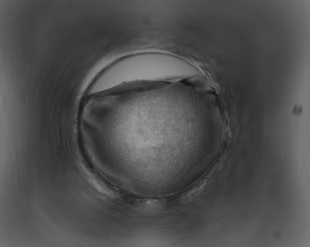 X0000093260056200710171458