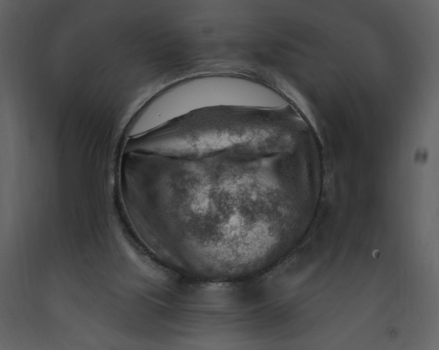 X0000093260059200710171458