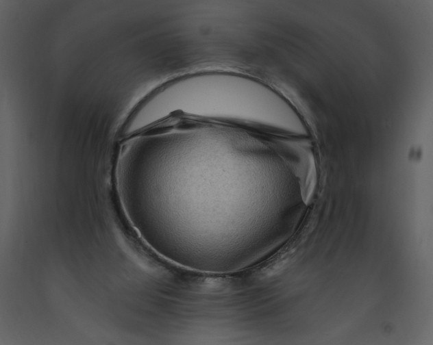 X0000093260060200710171458