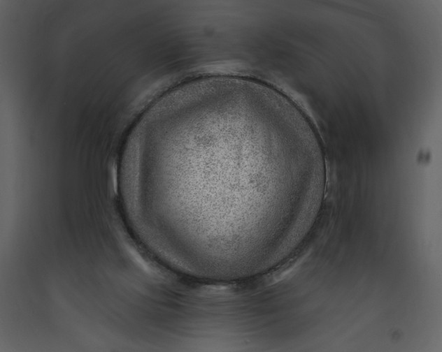 X0000093260061200710171458