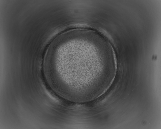 X0000093260063200710171458