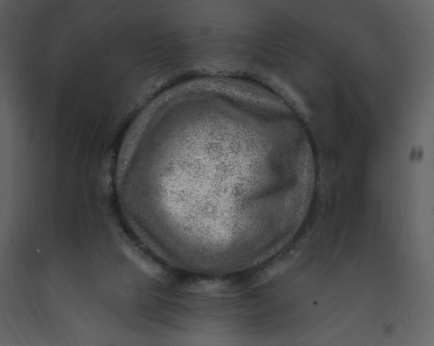 X0000093260065200710171458