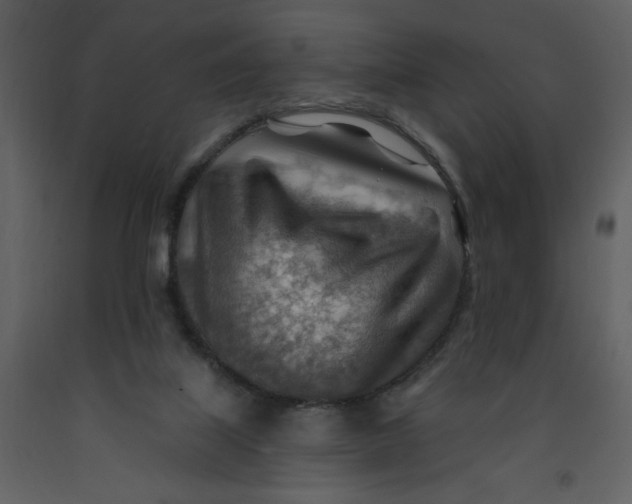 X0000093260067200710171458